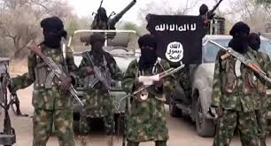 17 ISWAP fighters drown in Yobe river