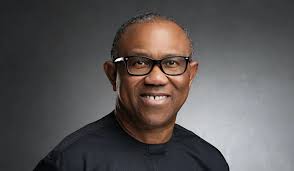 Peter Obi, Nigeria version of Donald Trump’, says Tinubu’s aide 