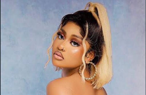 Phyna Criticized for Backing Wizkid During Ongoing Tensions with Davido