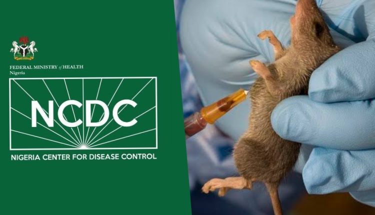 Lassa Fever, CSM: Be hygenic, NCDC boss warns Nigerians