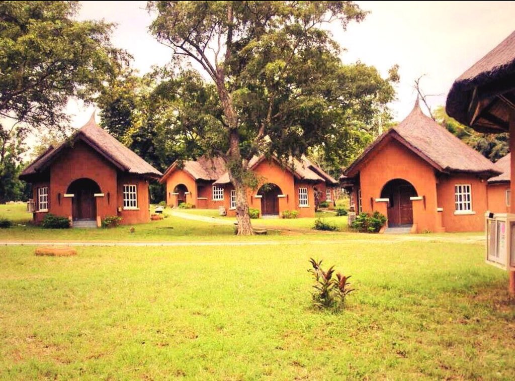 Yankari Game Reserve Yankari Game Reserve. Credit: Twitter/X @Yankarigamereserve