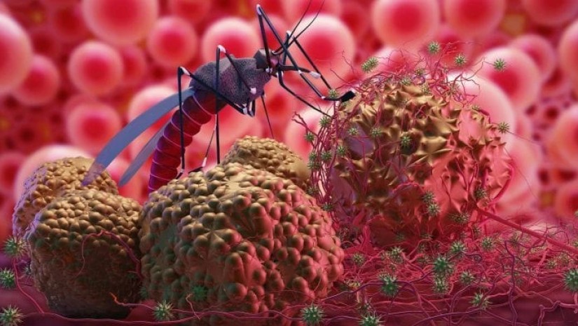 Malaria