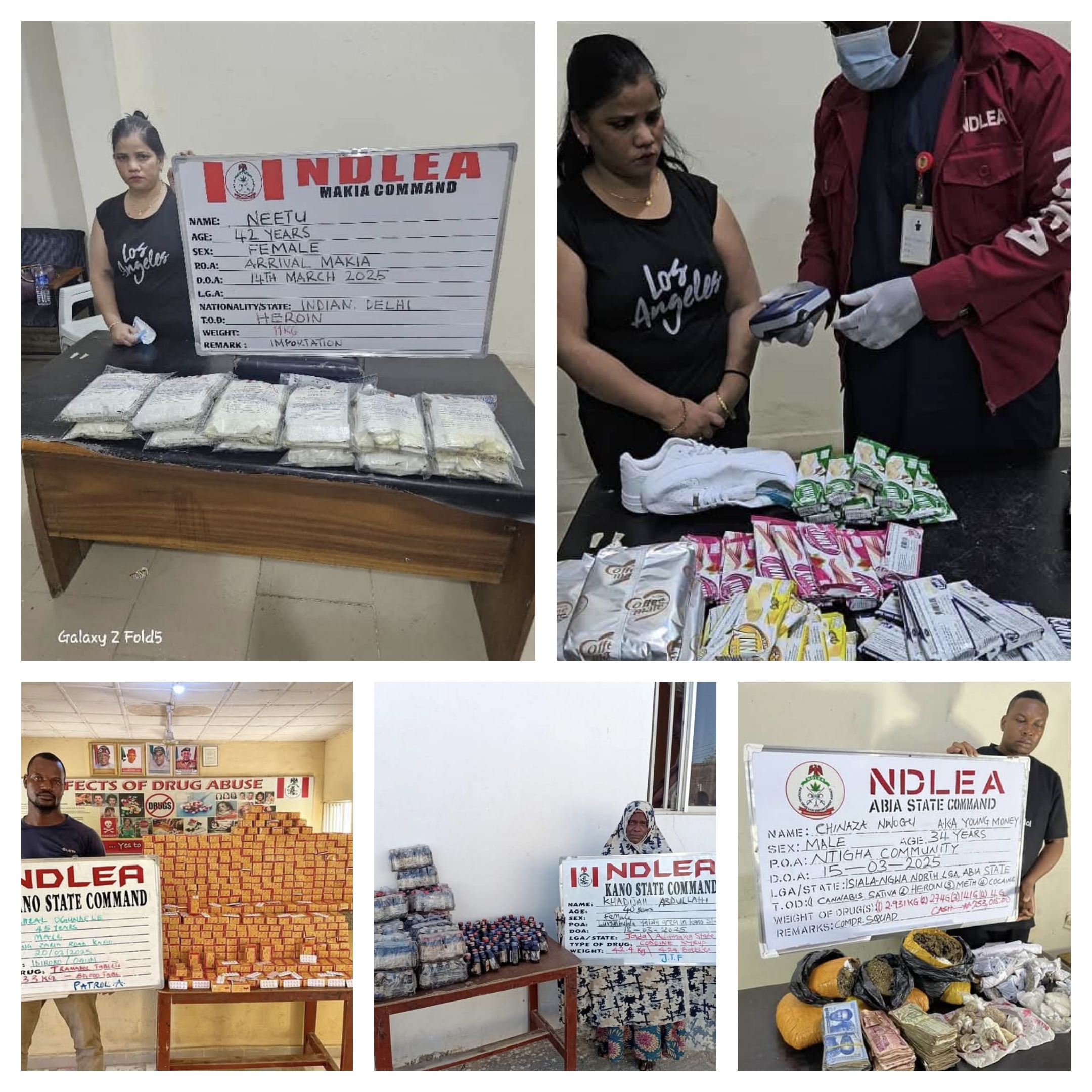 NDLEA Apprehend Suspects