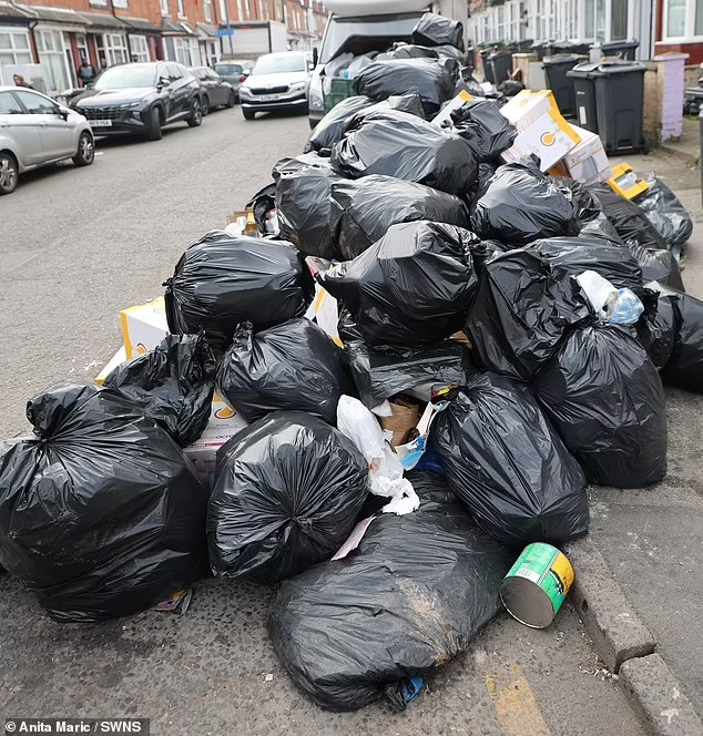 Rotting waste in Birmingham: Experts warn of deadly rodent Infestation