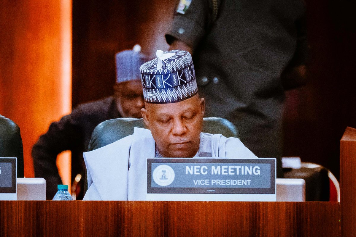 Vice President Kashim Shettima