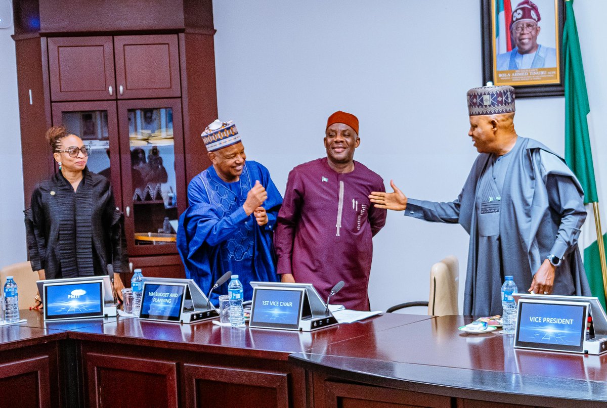 Vice President Kashim Shettima