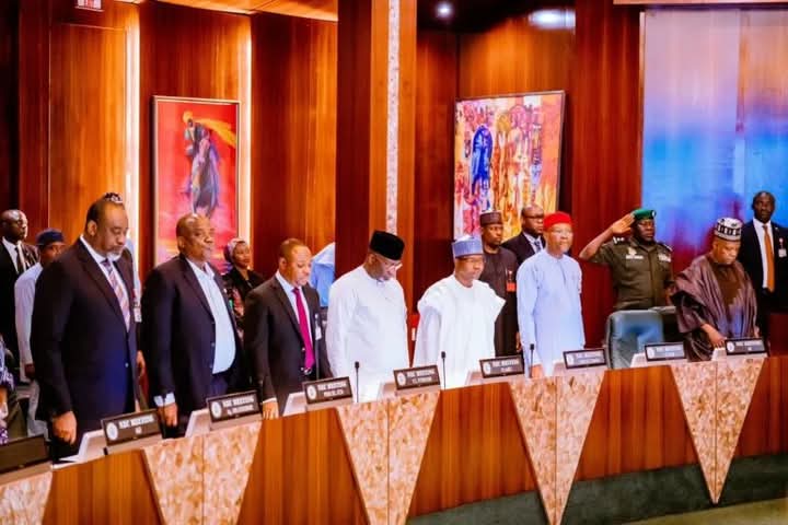 Vice President Kashim Shettima at the NEC meeting