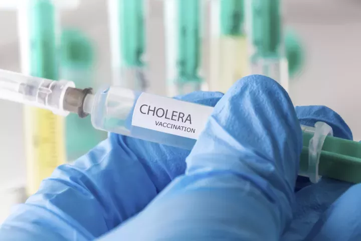 Cholera