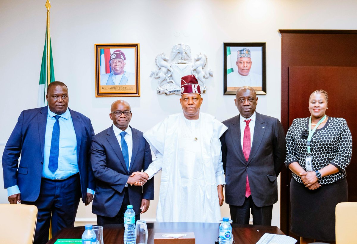 Vice President Kashim Shettima