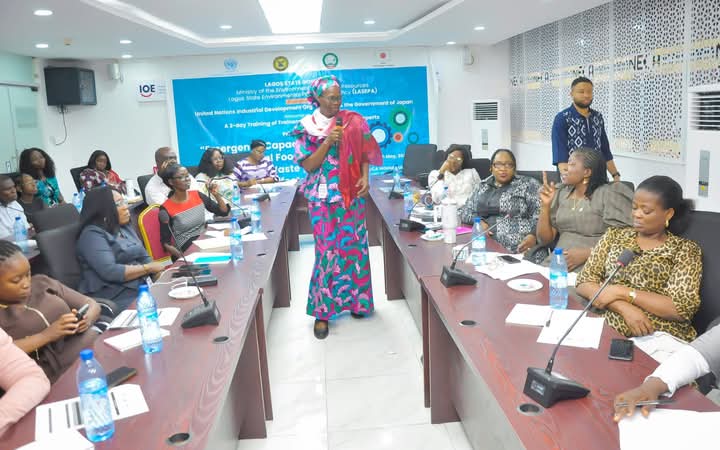 Lagos, LASEPA in collaboration with the United Nations Industrial Development Organisation (UNIDO) a