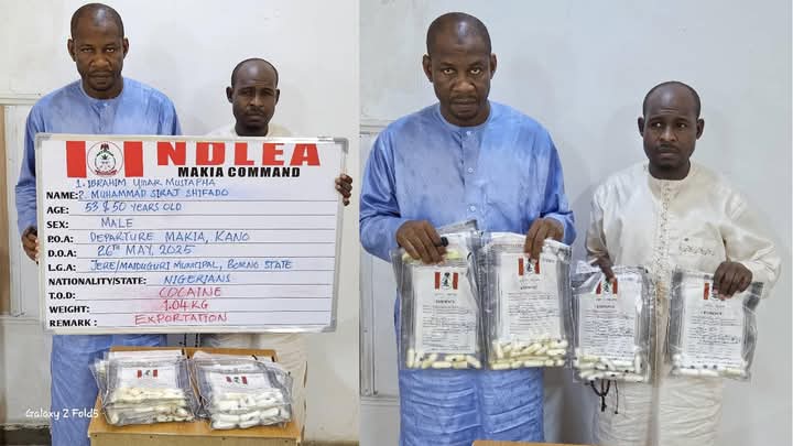 The arrested suspects by NDLEA