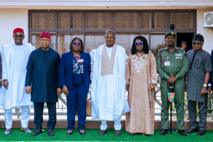 Abubakar Bagudu and the committee members inaugurated on behalf of FG