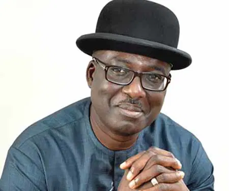 Senate confirms Nwuche as chair, South-South Commission