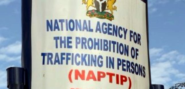 Agency logo against human trafficking in Nigeria
