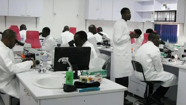 A group of researchers