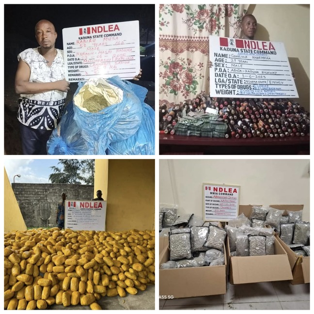 Arrested suspects and recovered drugs by NDLEA