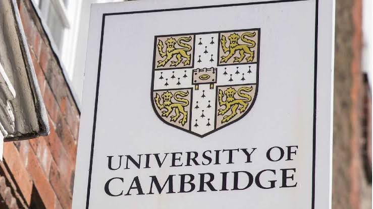 The University of Cambridge is facing criticism over its recruitment guidance, which some have claimed amounts to discrimination against white job applicants.