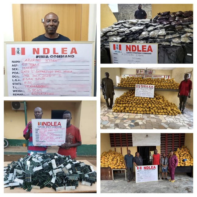 Arrested drug suspects by NDLEA