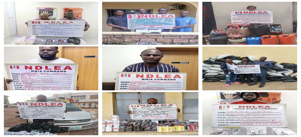 NDLEA Arrested Suspects