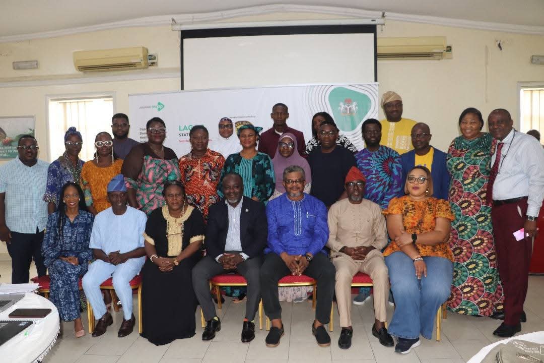 Participants at the Lagos Ministry of Health workshop
