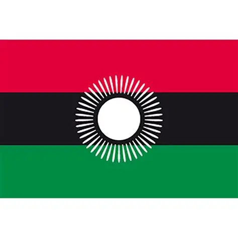 Aid cuts: Malawi warns of imminent tuberculosis drug shortage 