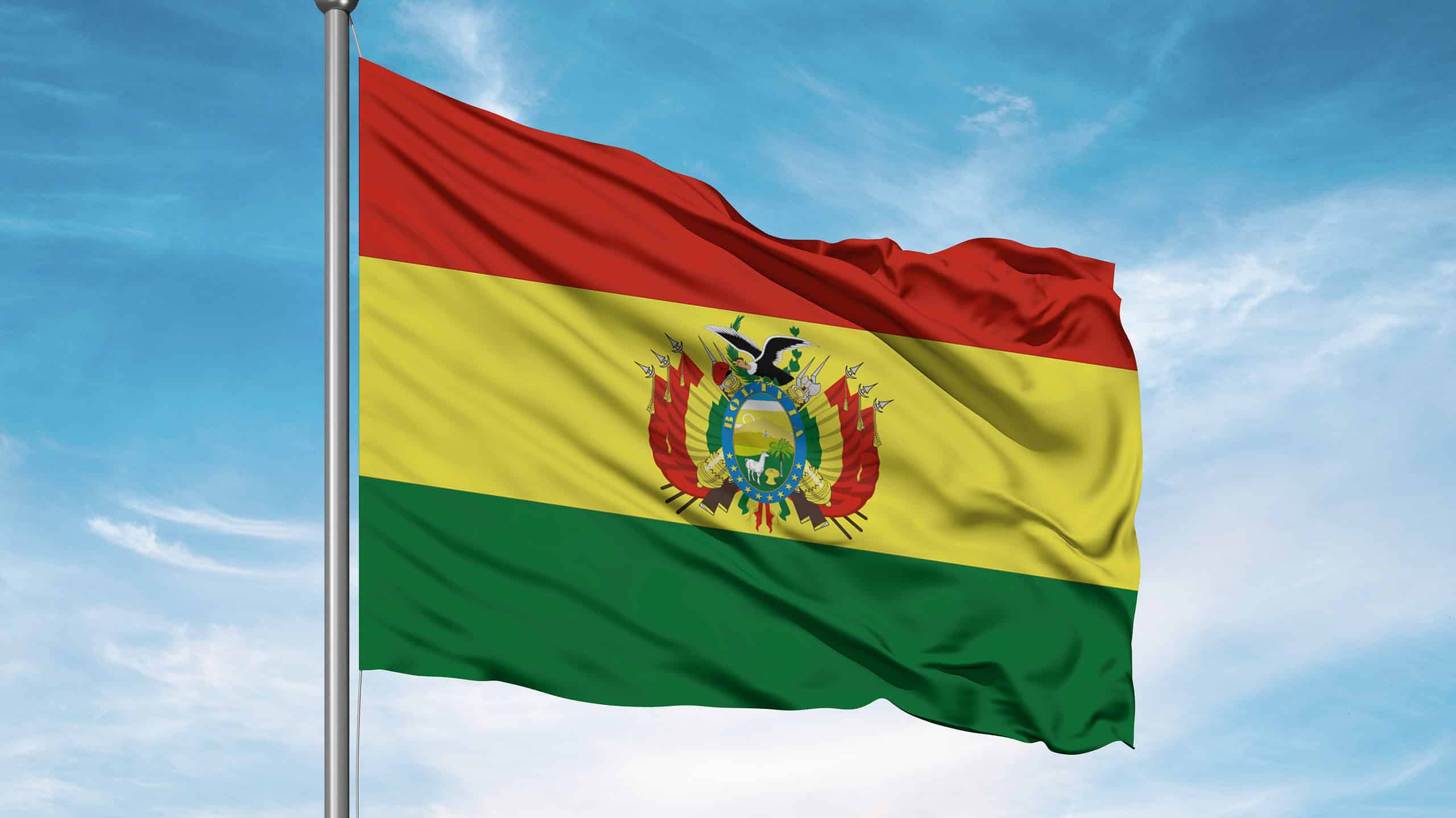 Bolivians Bolivia flag
