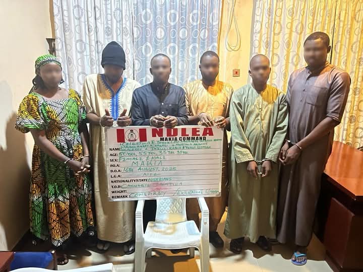The National Drug Law Enforcement Agency (NDLEA) has dismantled a criminal network at the Mallam Aminu Kano International Airport (MAKIA), Kano, after uncovering how its