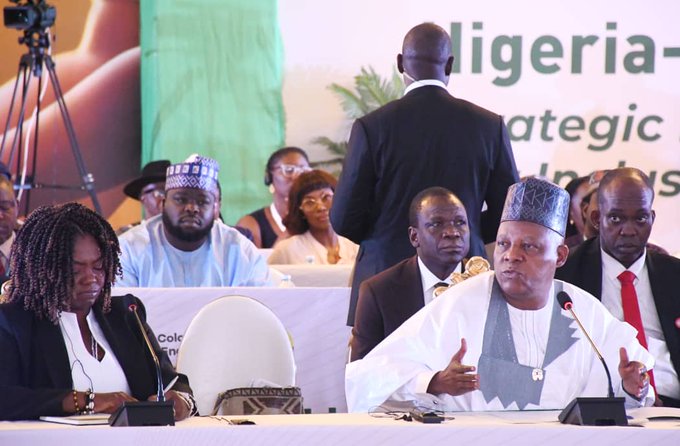 Kashim Shettima and Francia Márquez