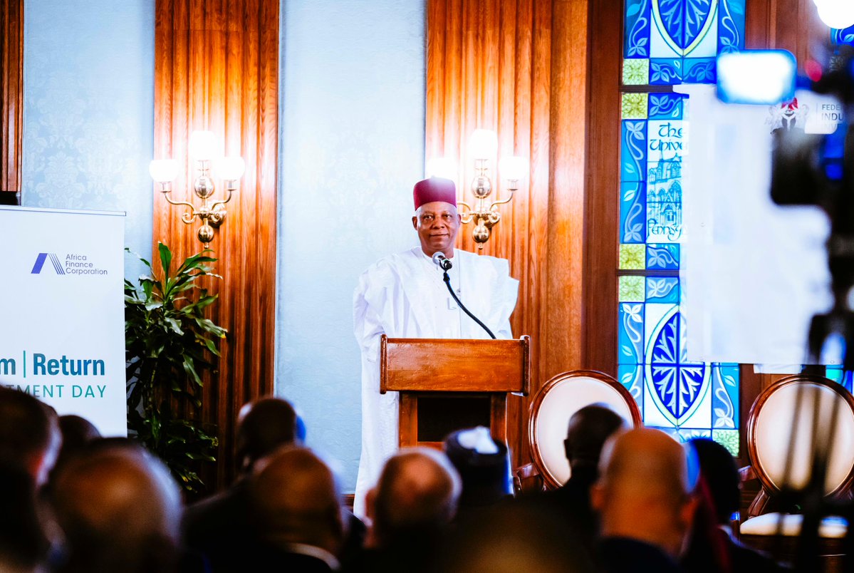 Vice President Kashim Shettima