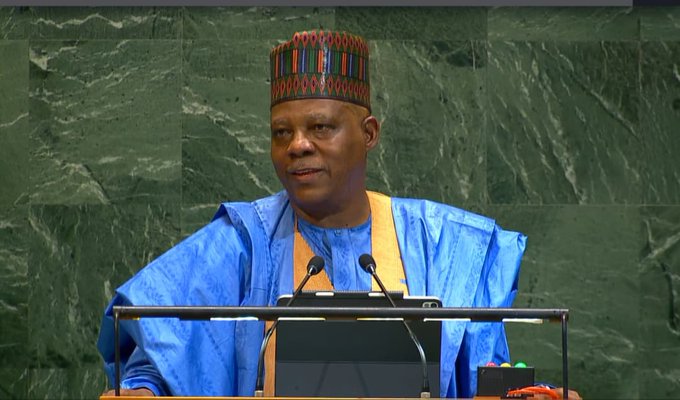 Vice President Kashim Shettima