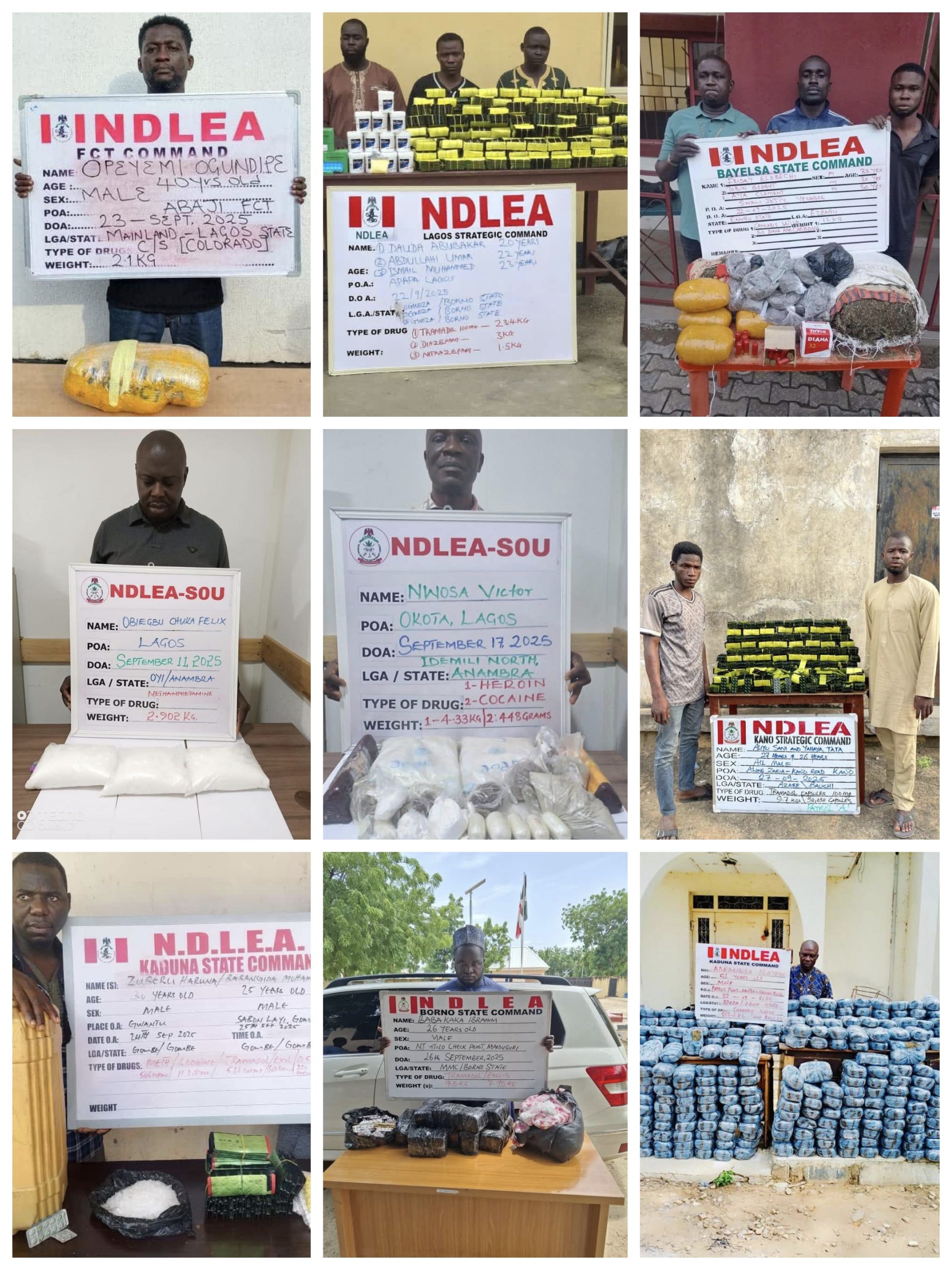 The National Drug Law Enforcement Agency (NDLEA) has recorded another breakthrough in its fight against illicit substances, arresting two drug kingpins in Lagos