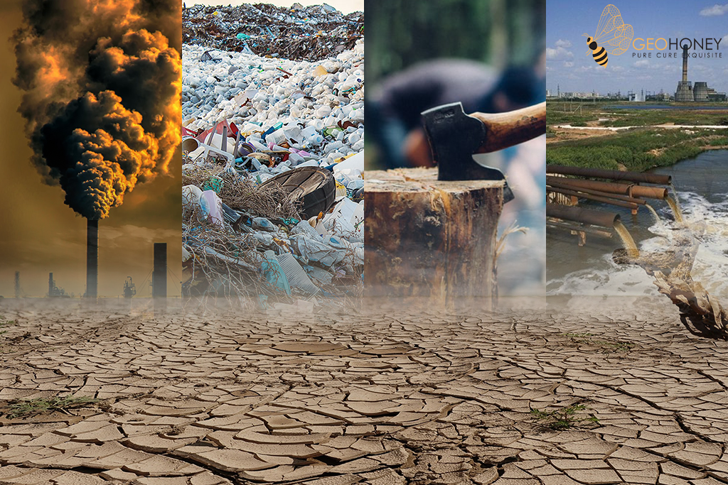 Nigeria, the giant of Africa, known for its oil production, agriculture, and economic diversity, has faced numerous climate change effects for years, leaving many residents