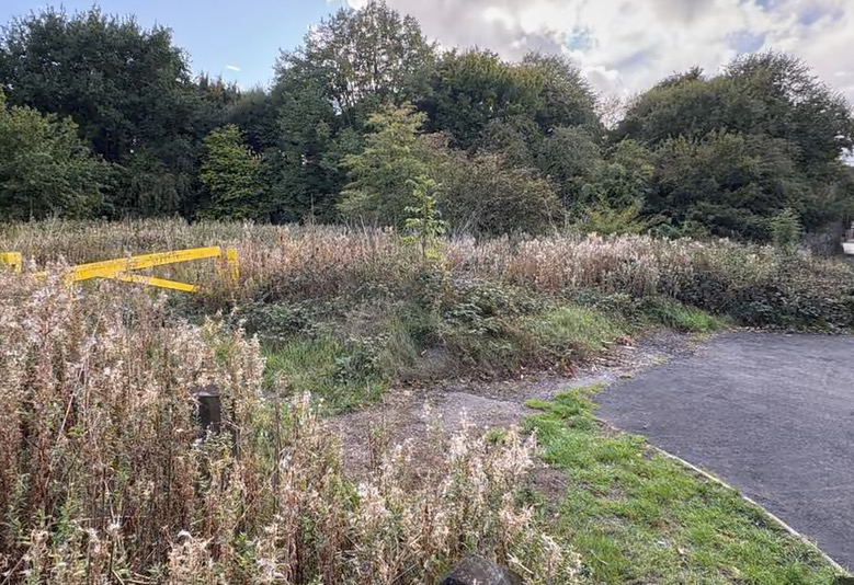 MPs condemn alleged racially motivated rape of Sikh woman in Oldbury