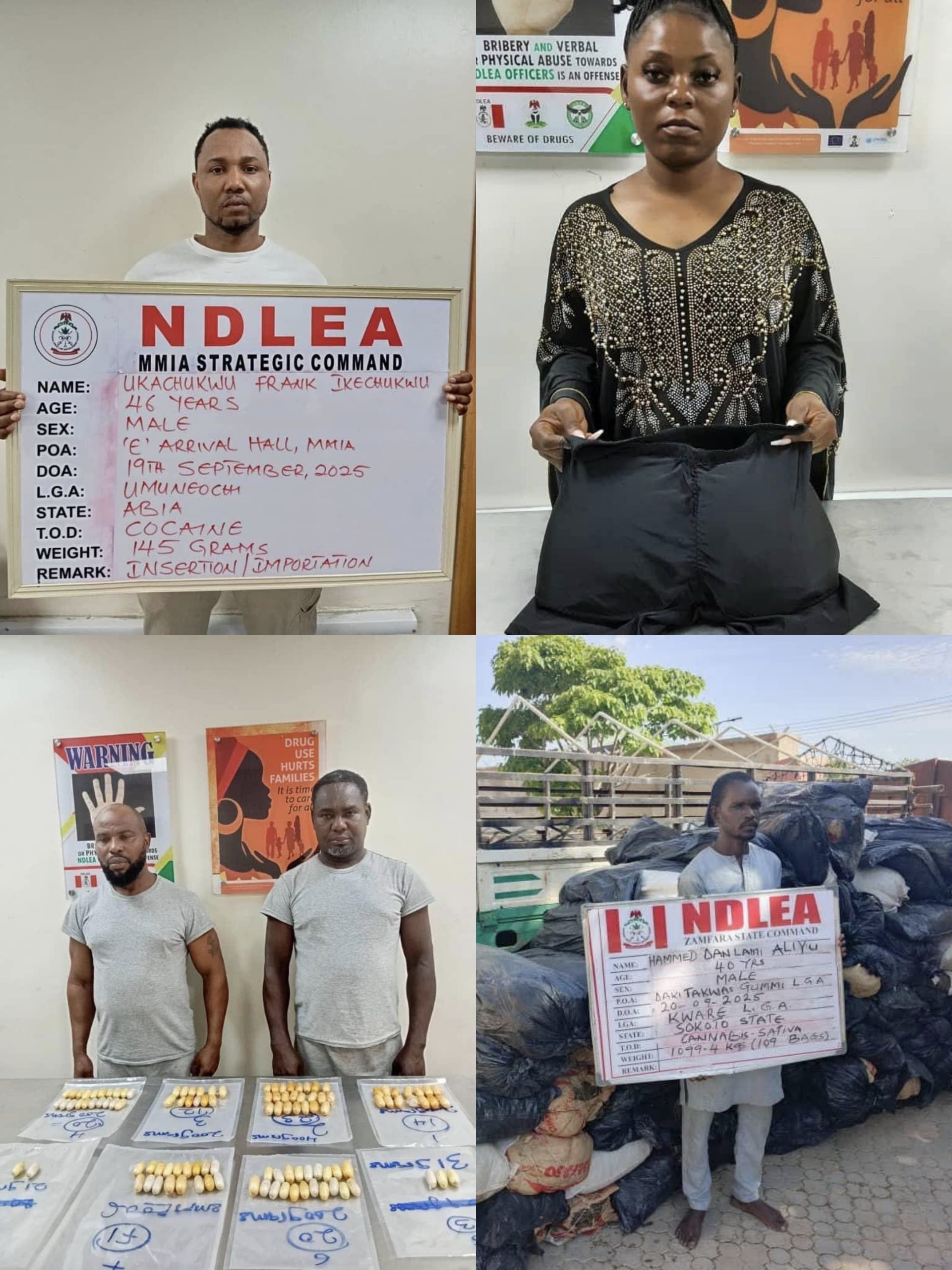 The National Drug Law Enforcement Agency (NDLEA) has intensified its offensive against drug cartels, arresting multiple suspects and intercepting large