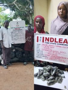 The National Drug Law Enforcement Agency (NDLEA) has recorded another breakthrough in its fight against illicit substances, arresting two drug kingpins in Lagos