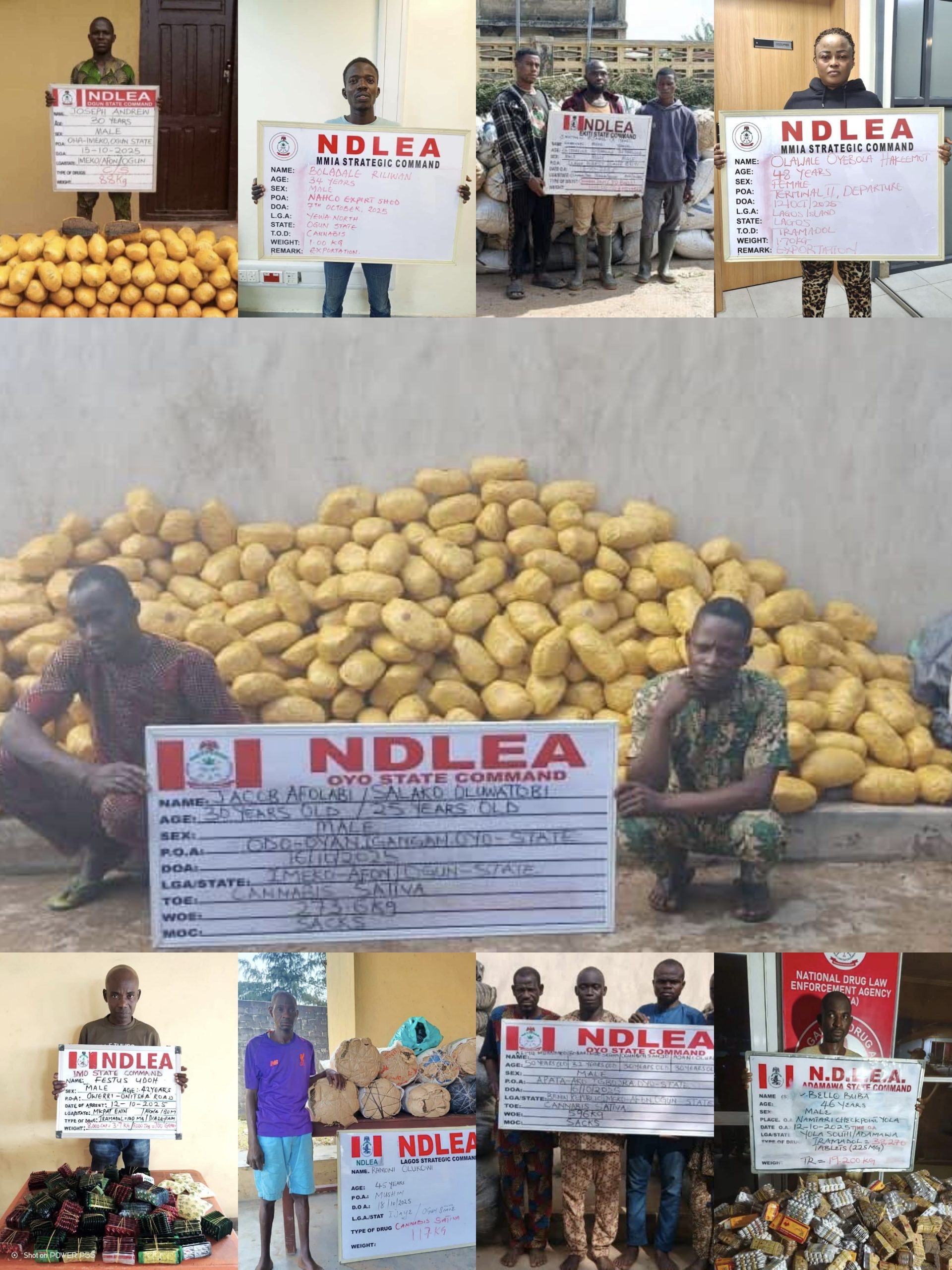 The operatives of the National Drug Law Enforcement Agency (NDLEA) have intercepted multiple consignments of illicit substances cleverly hidden in export goods