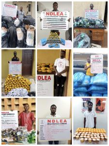 The National Drug Law Enforcement Agency (NDLEA) has dismantled two major cocaine trafficking cartels responsible for multiple United Kingdom-bound drug