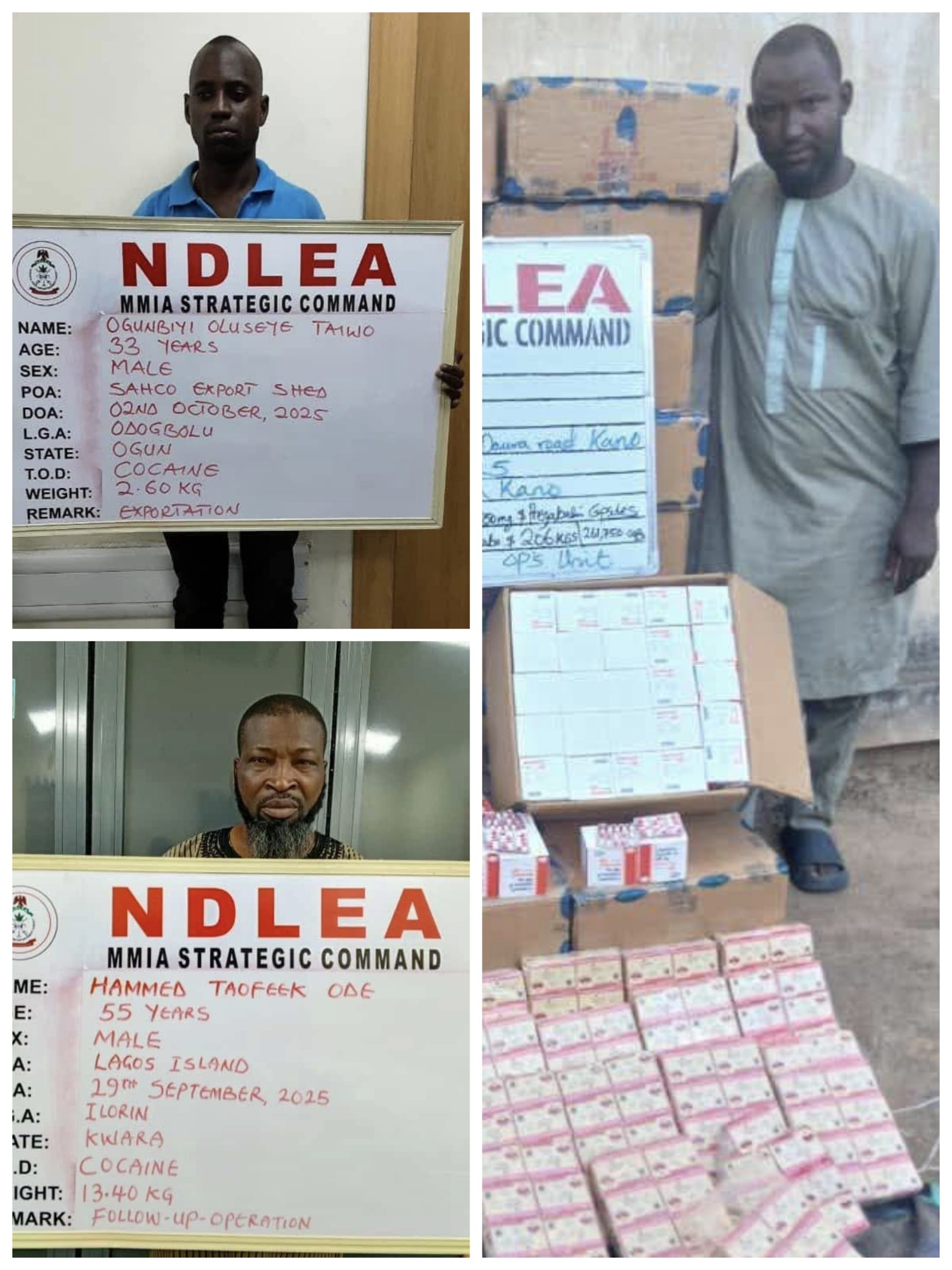 The National Drug Law Enforcement Agency (NDLEA) has dismantled two major cocaine trafficking cartels responsible for multiple United Kingdom-bound drug