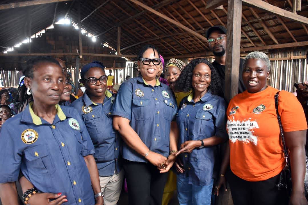 Lagos intensifies campaign to eradicate gender-based violence, harmful practices