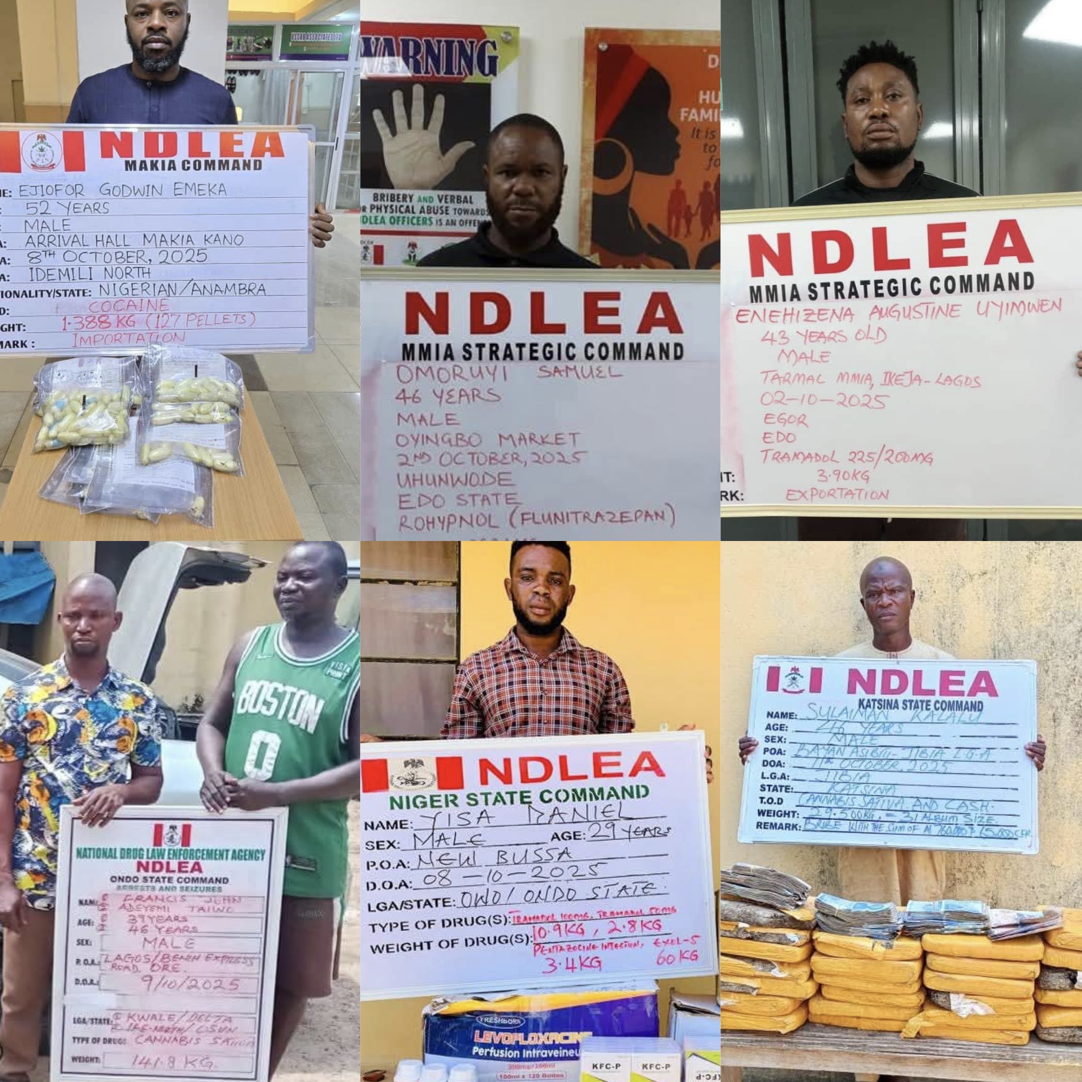 Operatives of the National Drug Law Enforcement Agency (NDLEA) have apprehended a 52-year-old businessman, Ejiofor Emeka, at the Mallam Aminu Kano International