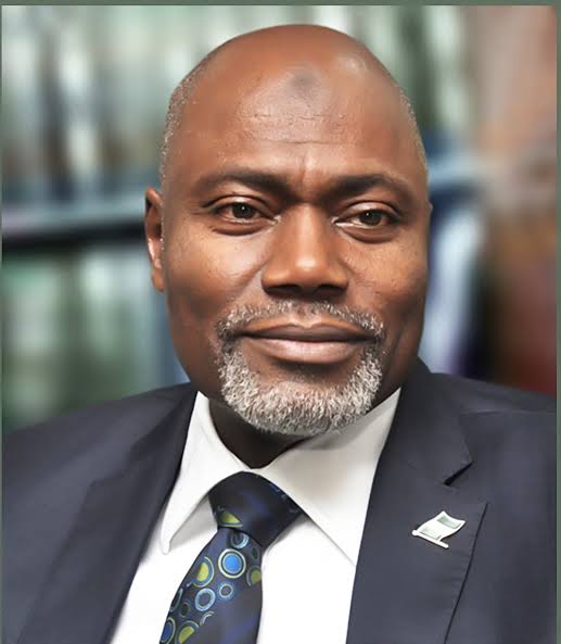 Electoral Act: Ali wants amendment to section empowering court to declare winners in election 