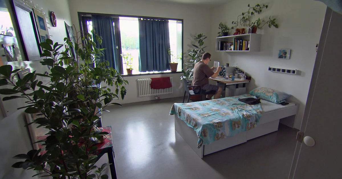 Germany prison system