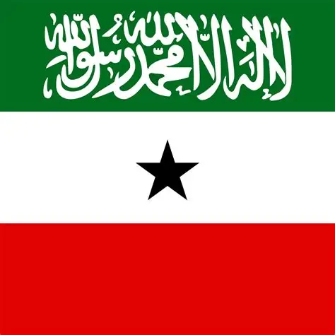Somaliland flag