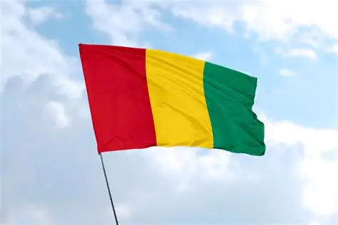 Guinea flag