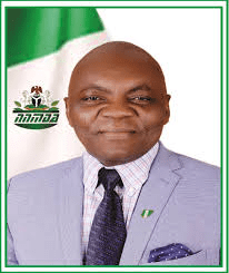 Nigeria has secured a place in global health decision-making following the appointment of the Director-General of the Nigerian Natural Medicines Development Agency