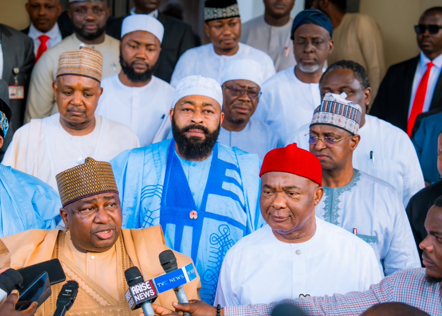 Uzodimma joins NEC high-level committee to spearhead national livestock transformation