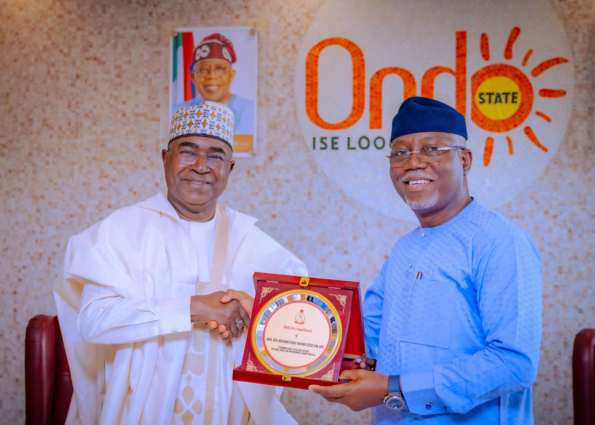 NDLEA selects Ondo to pilot alternative development programme for cannabis farmers