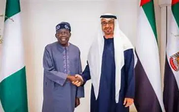 How UAE-Nigeria ties could stabilise naira, create opportunities for Nigerians