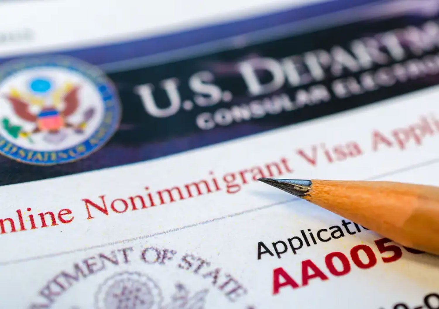US non immigrant visa application