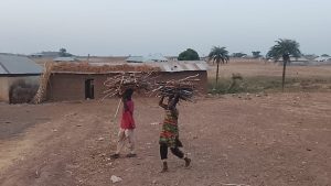 Children returning from logging. Photo credit: Yunusa Umar|New Daily Prime